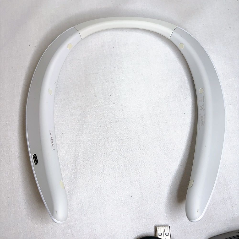 SHARP AN-SS2 ネックスピーカー ホワイト SHARP AN-SS2 ネック