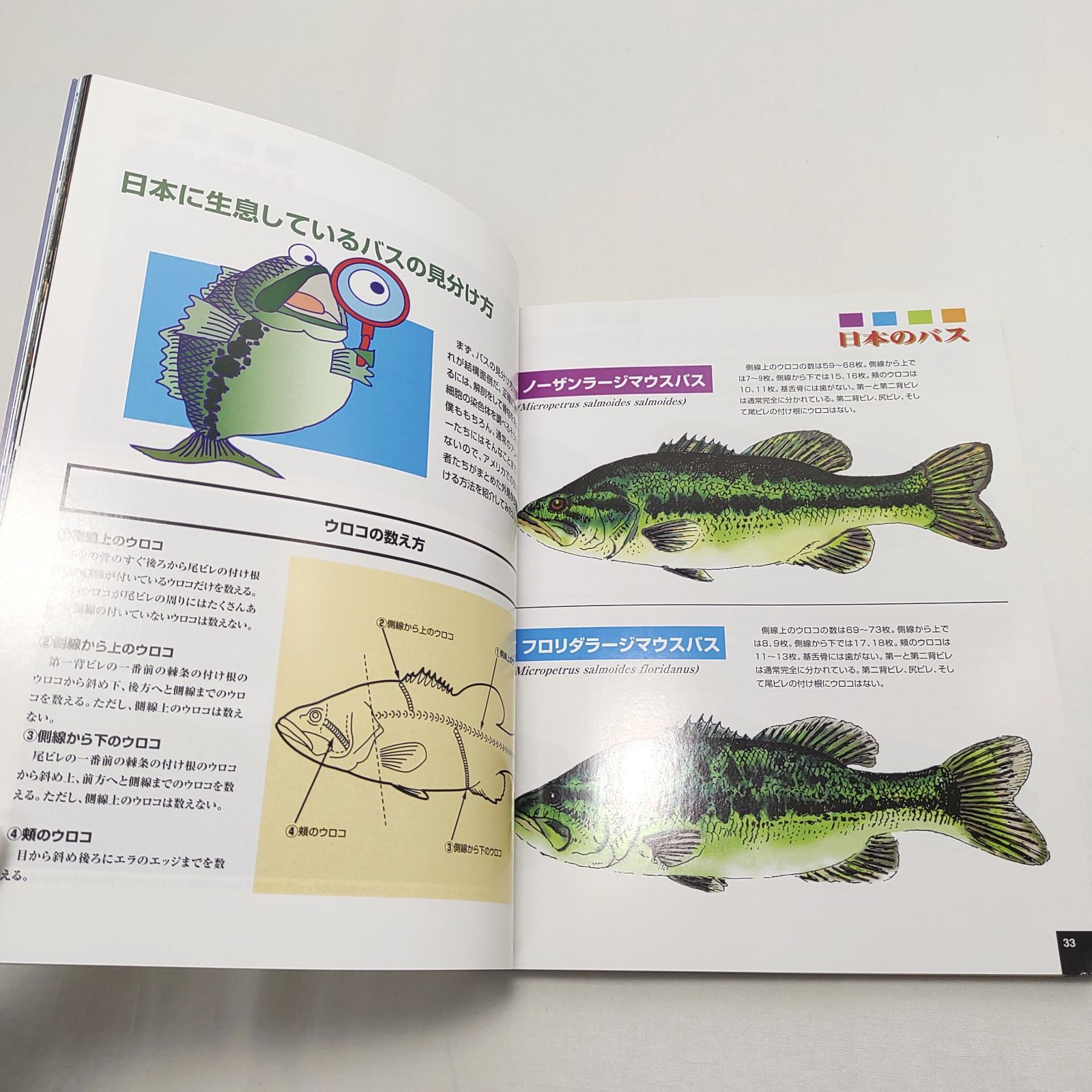 ヒロ内藤のハイパーバッシング アメリカンスタイル15ルアー活用術 週刊