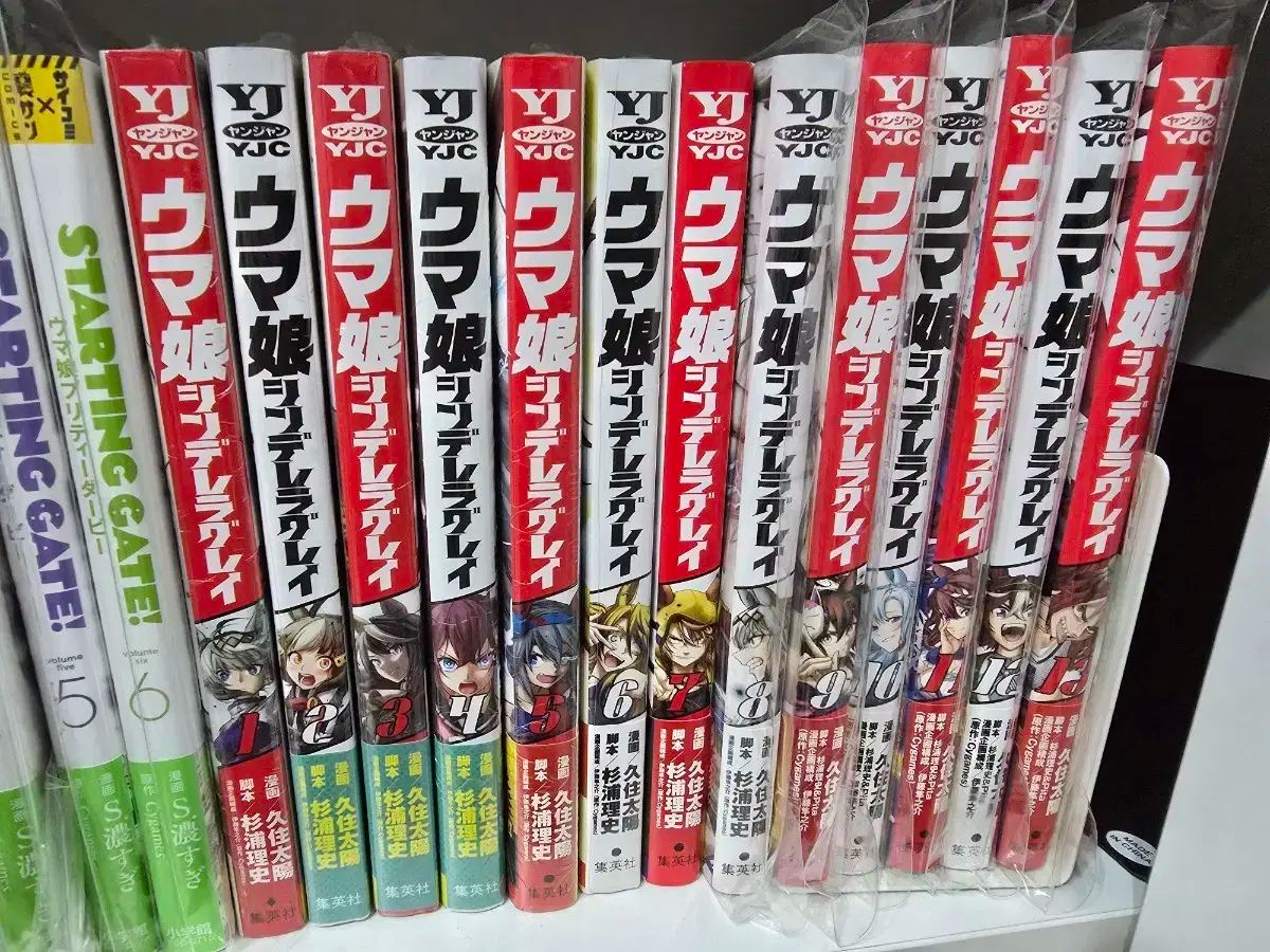ウマ娘 シンデレラ グレイ シンデレグレ 漫画 1-13巻 日本原書