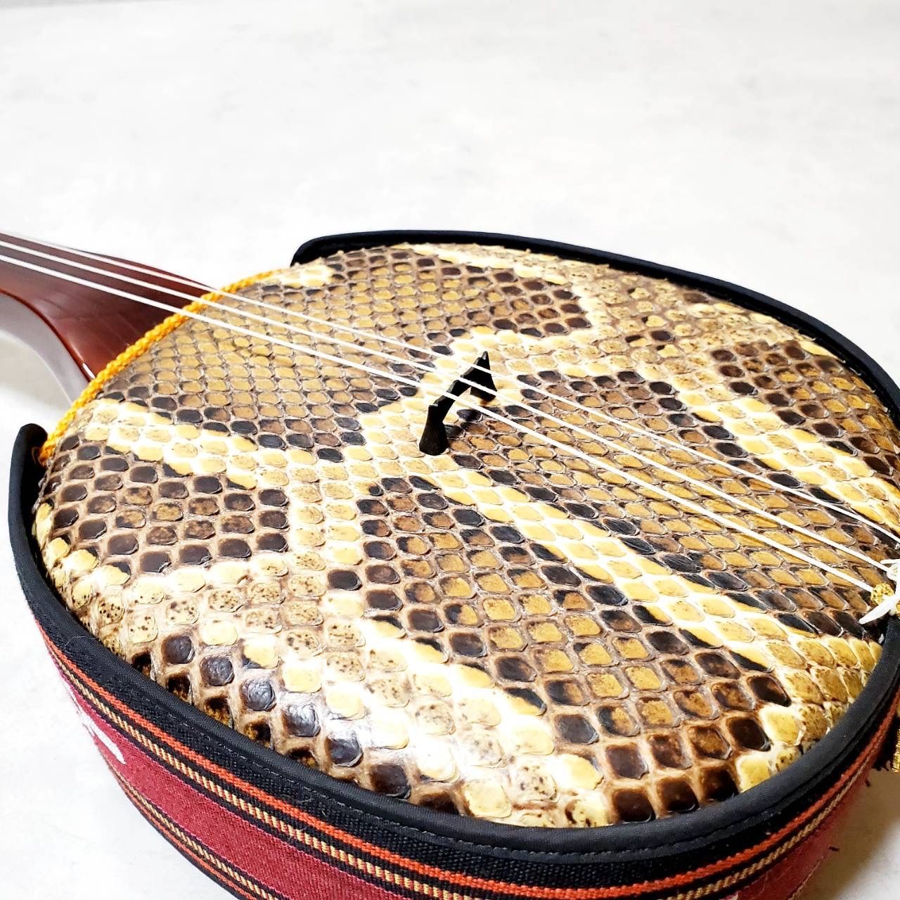 本蛇皮張り ソフトケース付き