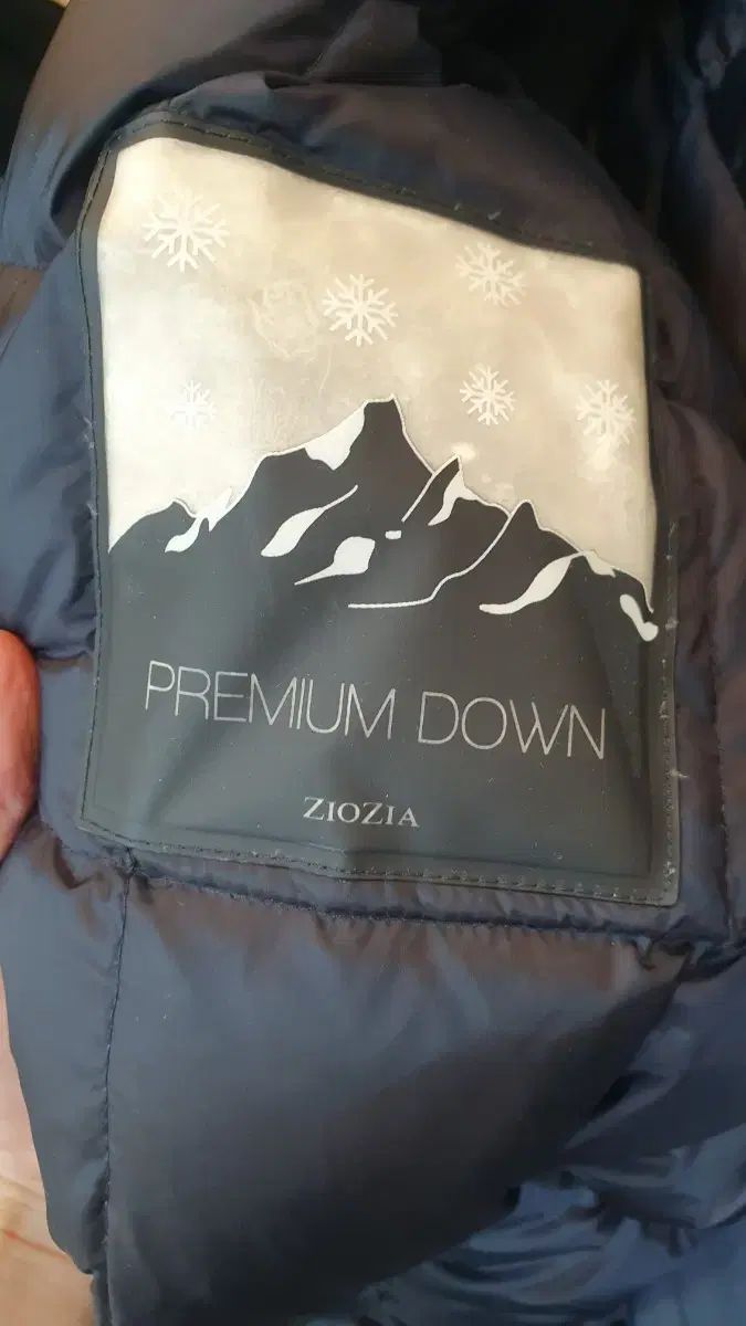 ジオジア プレミアムグース ダウンコート95 KANDAIZUMI_COM