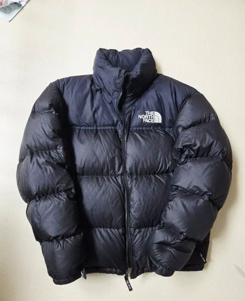 THE NORTH FACE ザノースフェイス エコー Nuptse ヌプシ L