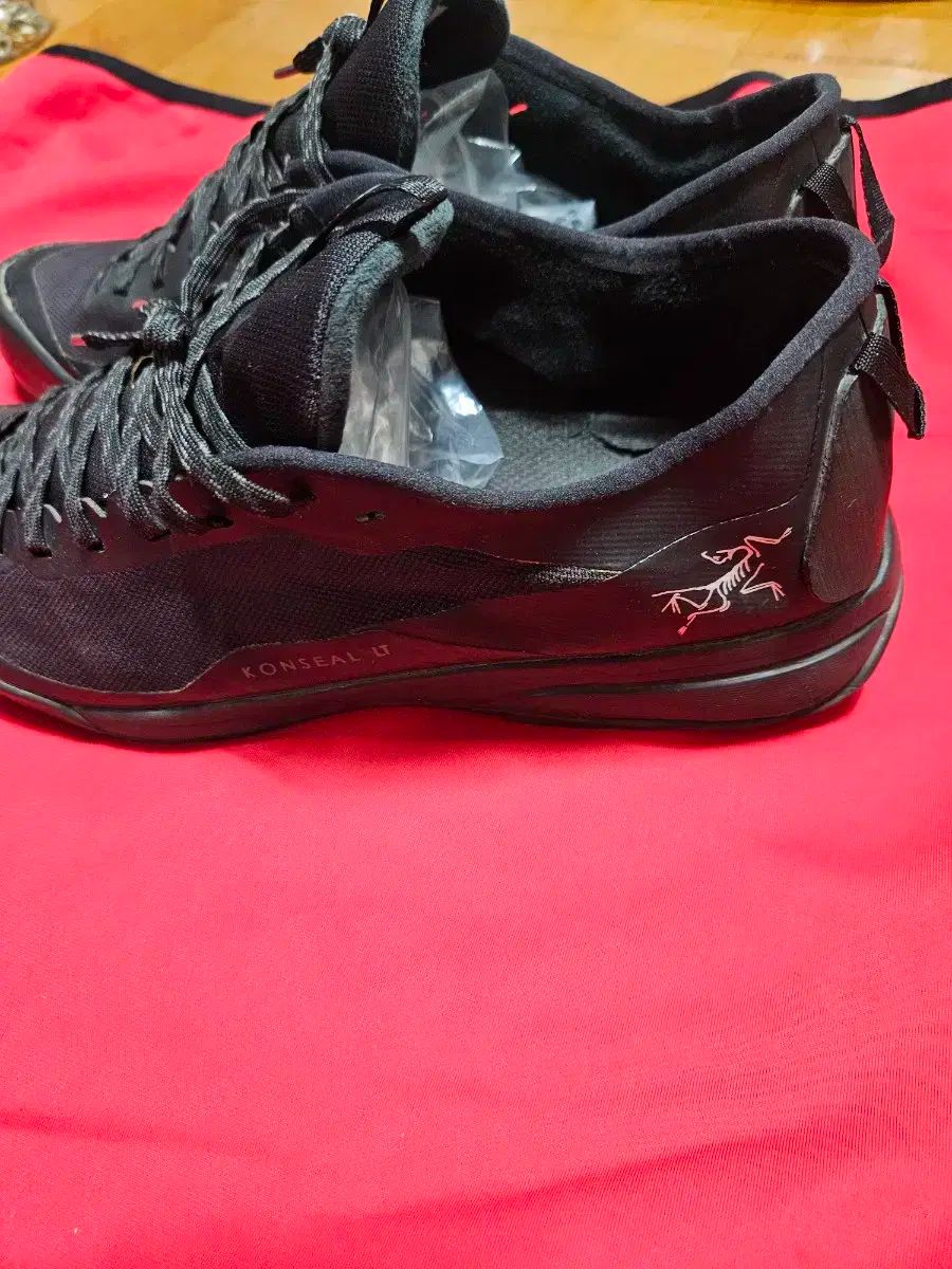 ARC TERYX アークテリクス ブラック スニーカー