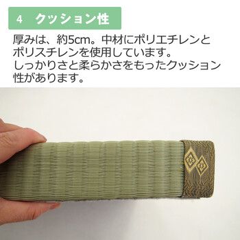 PO織込座布団 祇園 ぎおん グリーン 約55×55×H5cm 2セット NEXPOTALLINN_EU