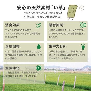 補修テープ付き 団地間4.5畳