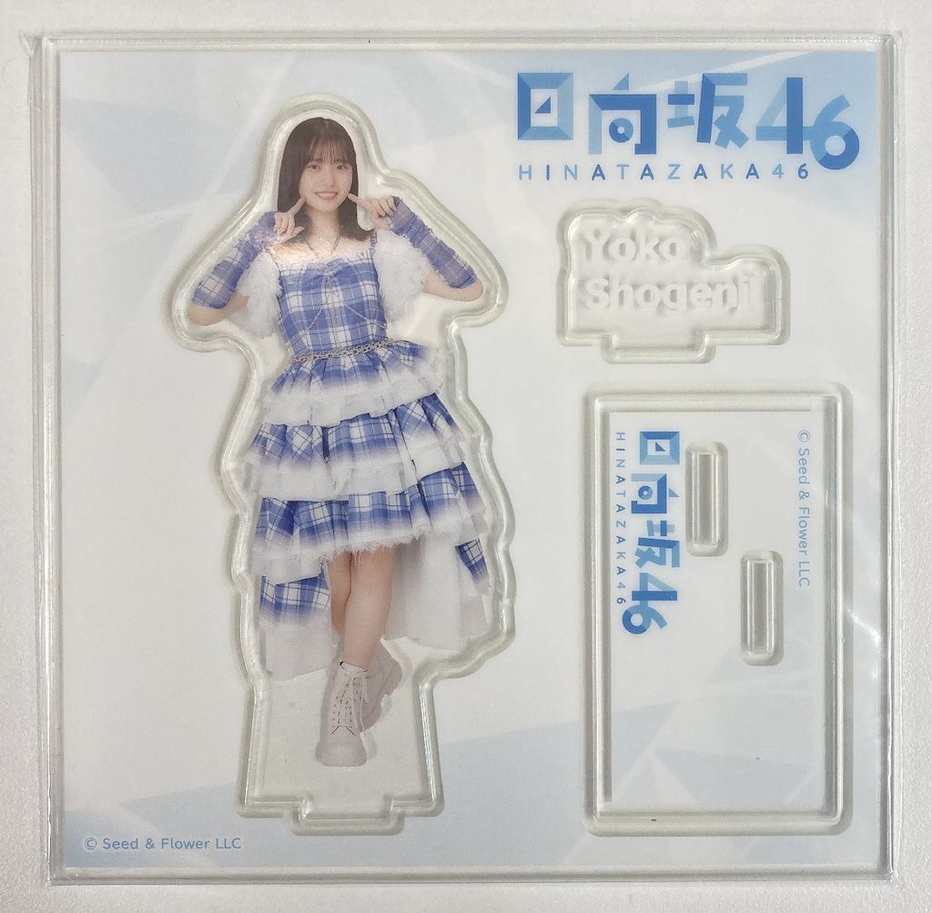 日向坂46 藤嶌果歩 直筆 サイン チェキ 日向坂46 正源司陽子 藤嶌果歩