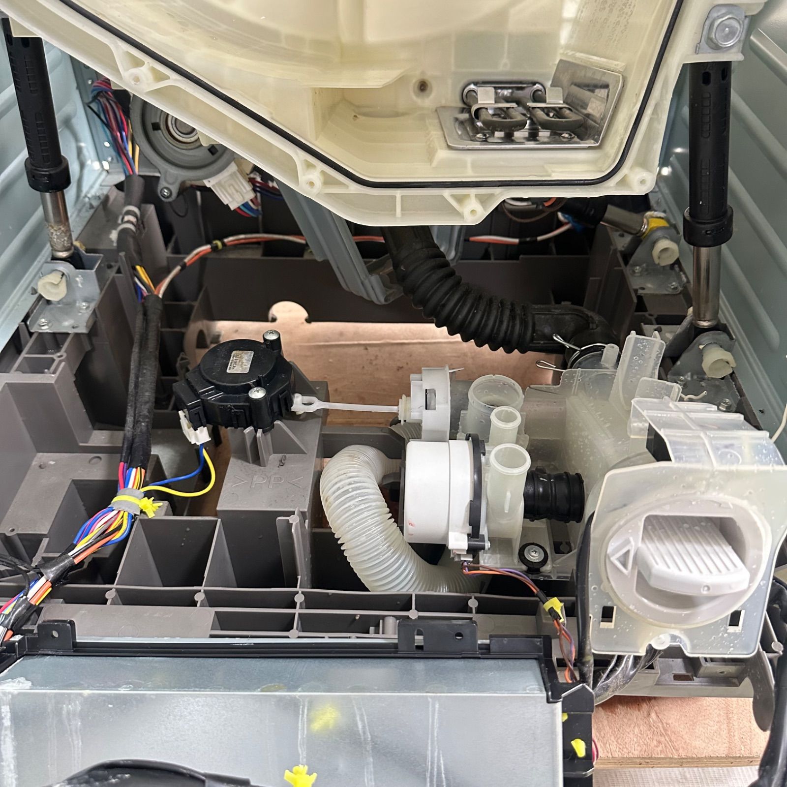 完全分解洗浄済 ドラム式洗濯機