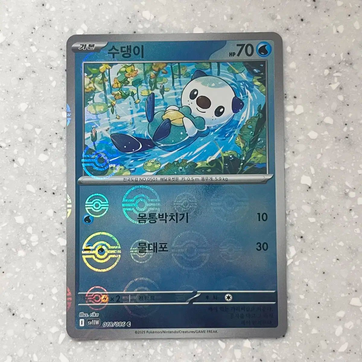 ポケモンカード スイレン サポート ホロ仕様 スイレン 118⁄114 SR