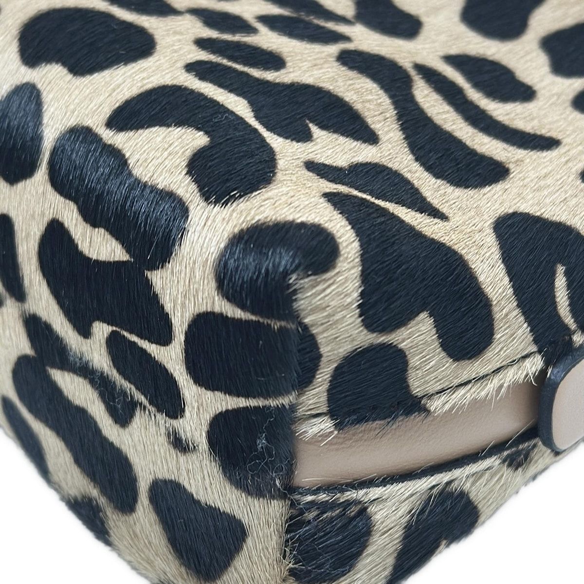 ジャンニキャリーニ|ジャンニキアリーニ