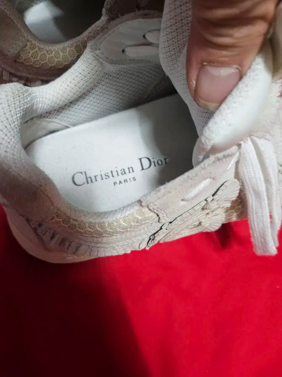 ディオール スウェード