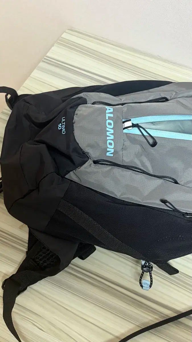 SALOMON サロモン ウルティモ 10L バックパック チャコール