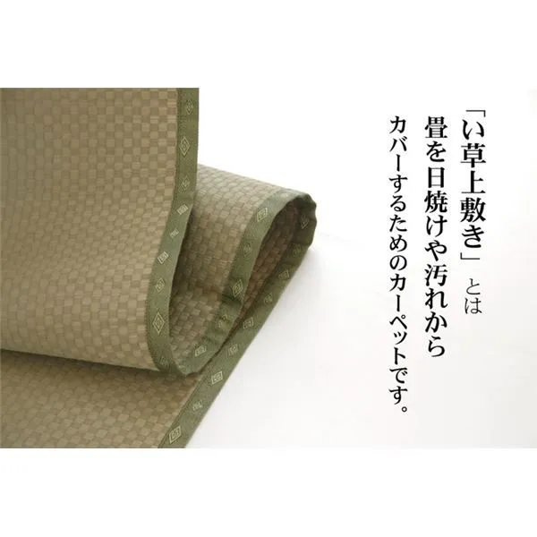 い草 上敷き/ラグマット 日本製 抗菌防臭 耐久性抜群 熊本県八代産イ草使用 〔リビング〕 い草 上敷き&frasl;ラグマット 双目織 約176×176cm 〔江戸 アジアン