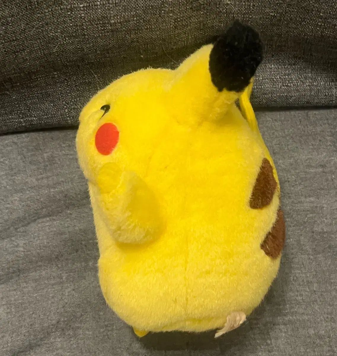 ぽっちゃりチュウ