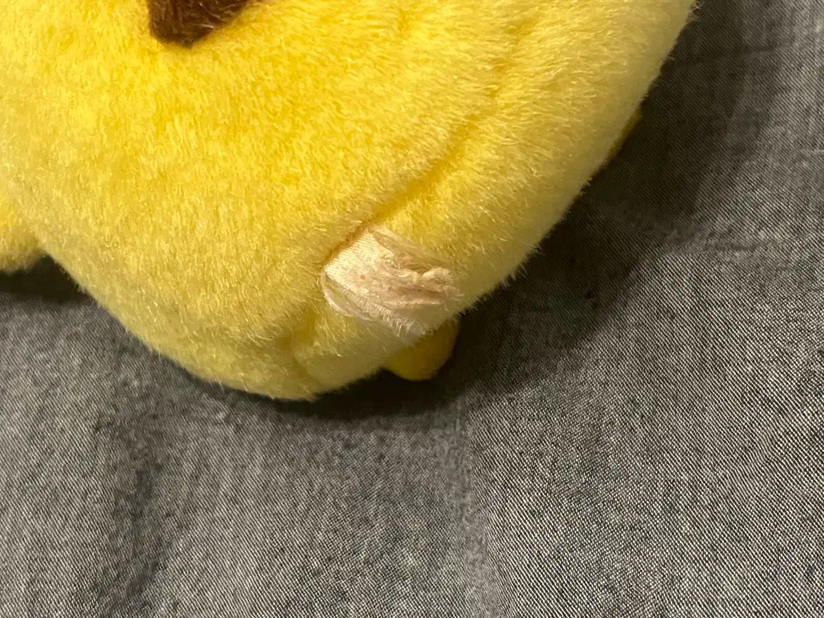 ぽっちゃりチュウ