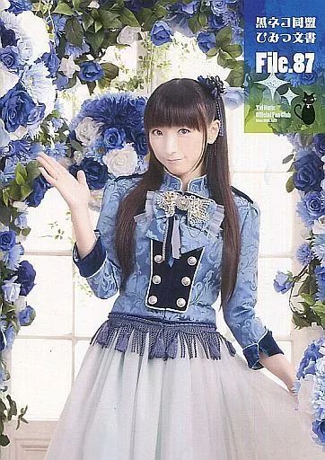 中古】アニメムック ≪アニメ・漫画系書籍≫ 堀江由衣 / 黒ネコ同盟