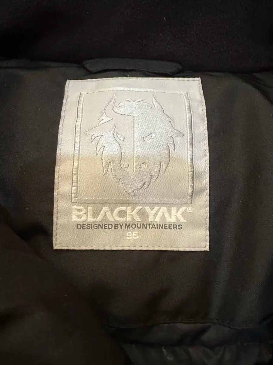 BLACK YAK Bエッジレイ2 ダウン 95