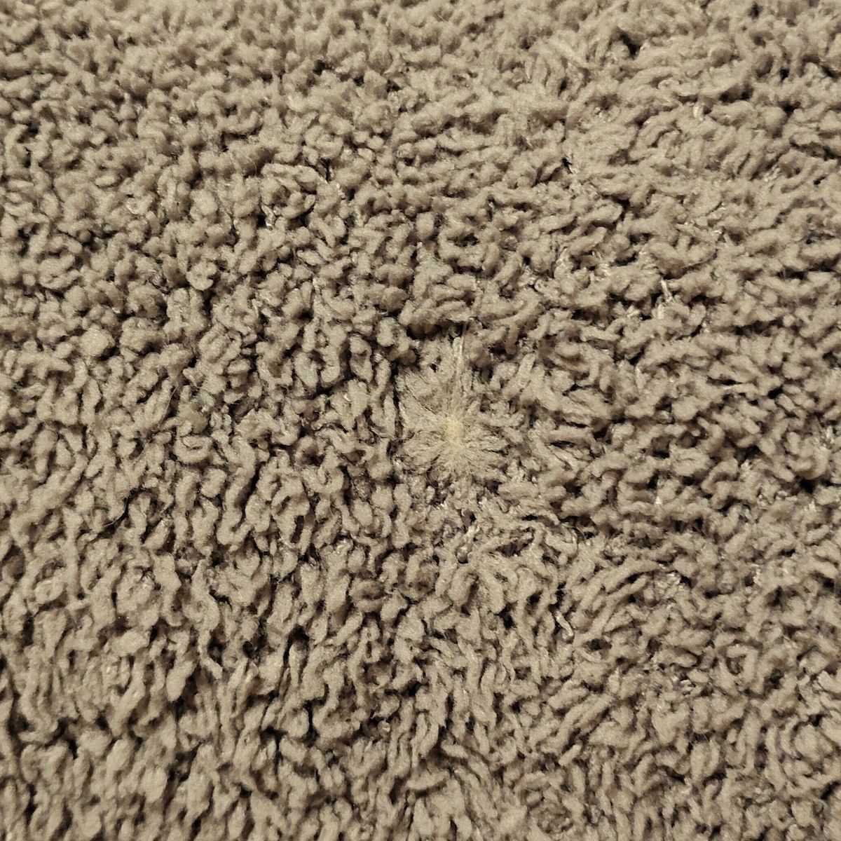 家庭的な gelato pique ジェラートピケ レディースパンツセットアップ レディース - ブラウン×マルチ Steiffコラボ クマ フレッシュな