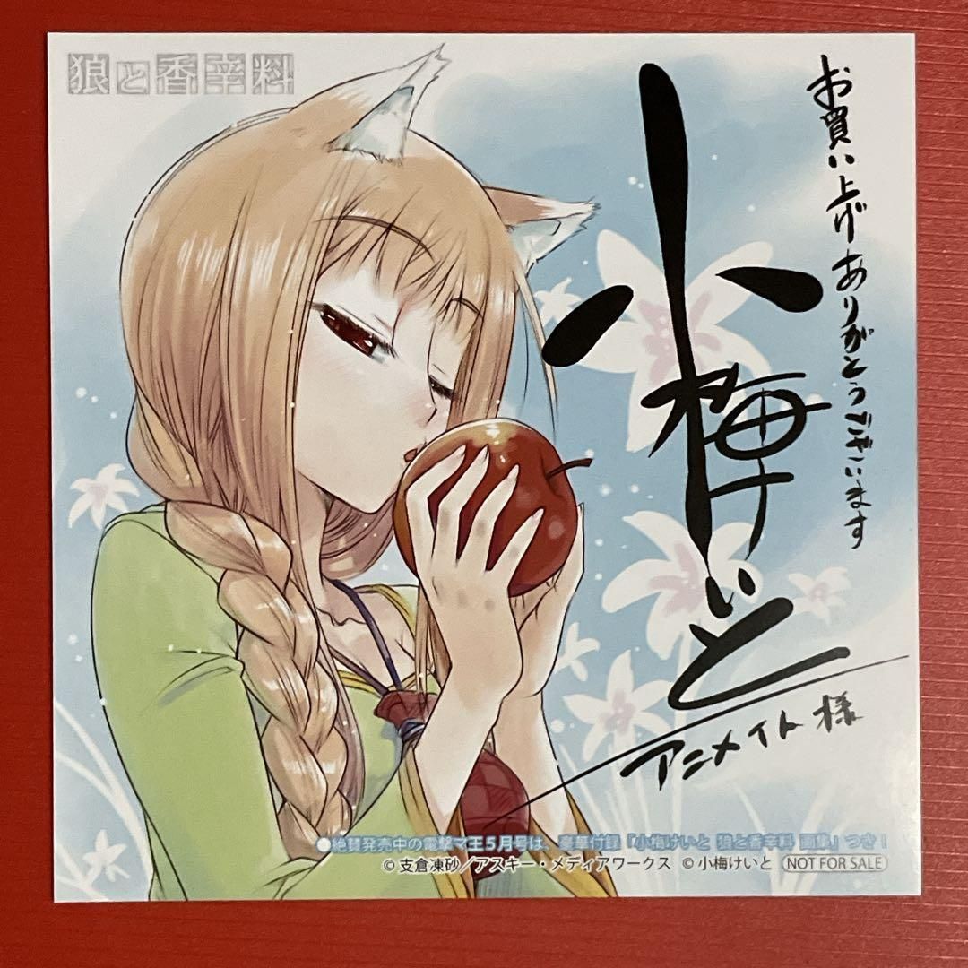 狼と香辛料　小梅けいと　イラストペーパー 狼と香辛料 ホロ アニメイト 特典 イラストカード 小梅けいと 非売品