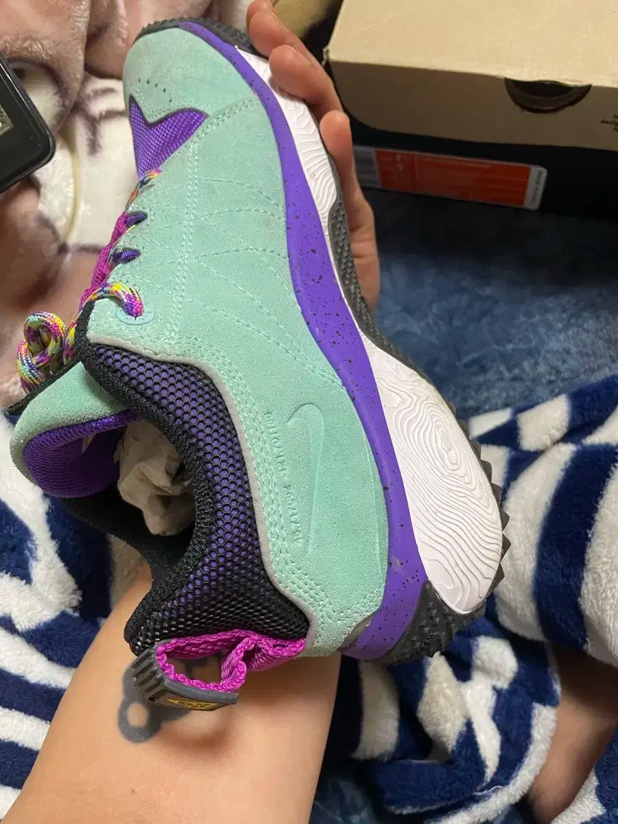 ACG ドッグマウンテン