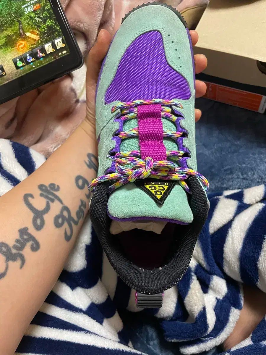 ドッグマウンテン 255