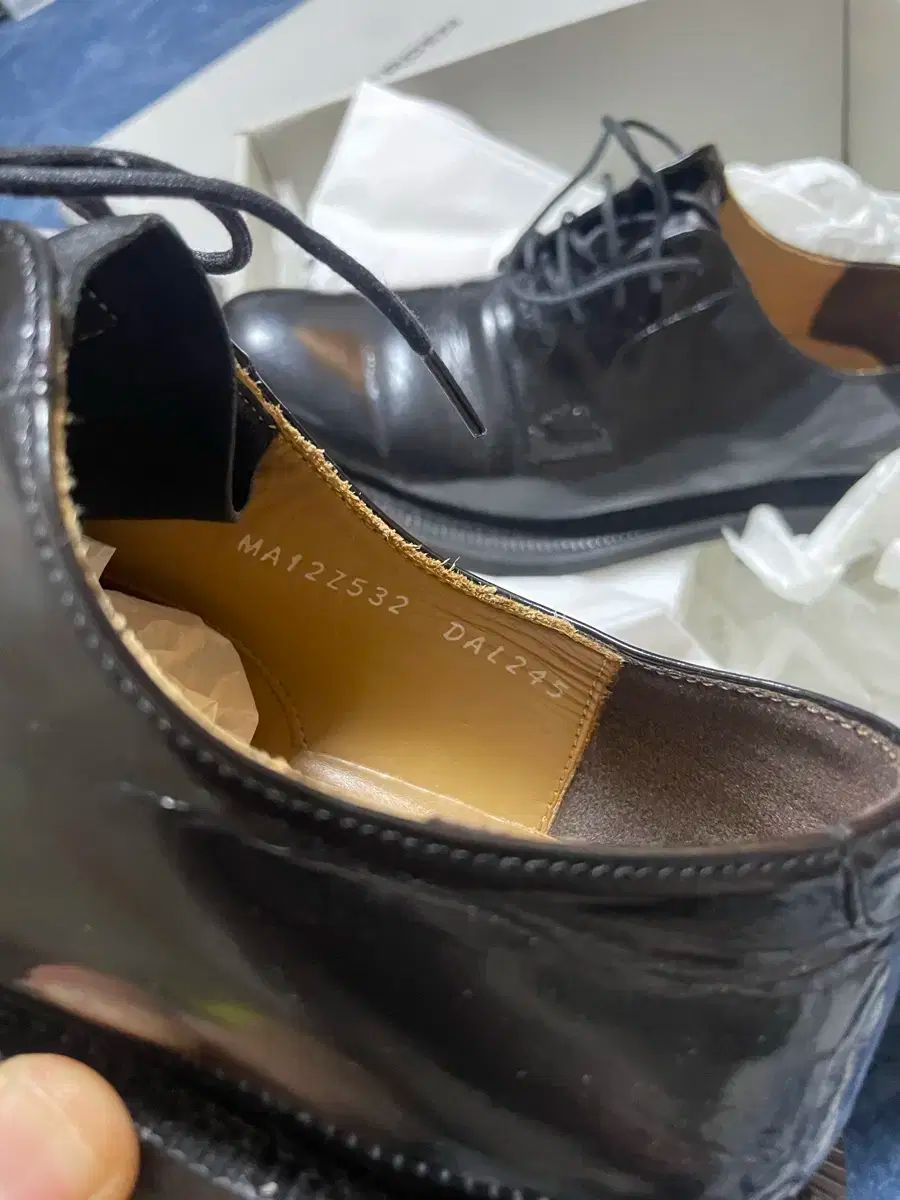 靴 245 実寸 250 255