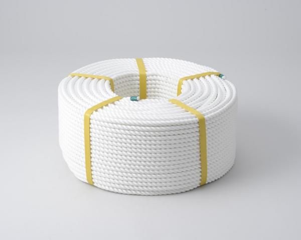 2営業日で発送 イワキ 丸三産業 ポリエステルロープ小巻タイプ 12mmX100m