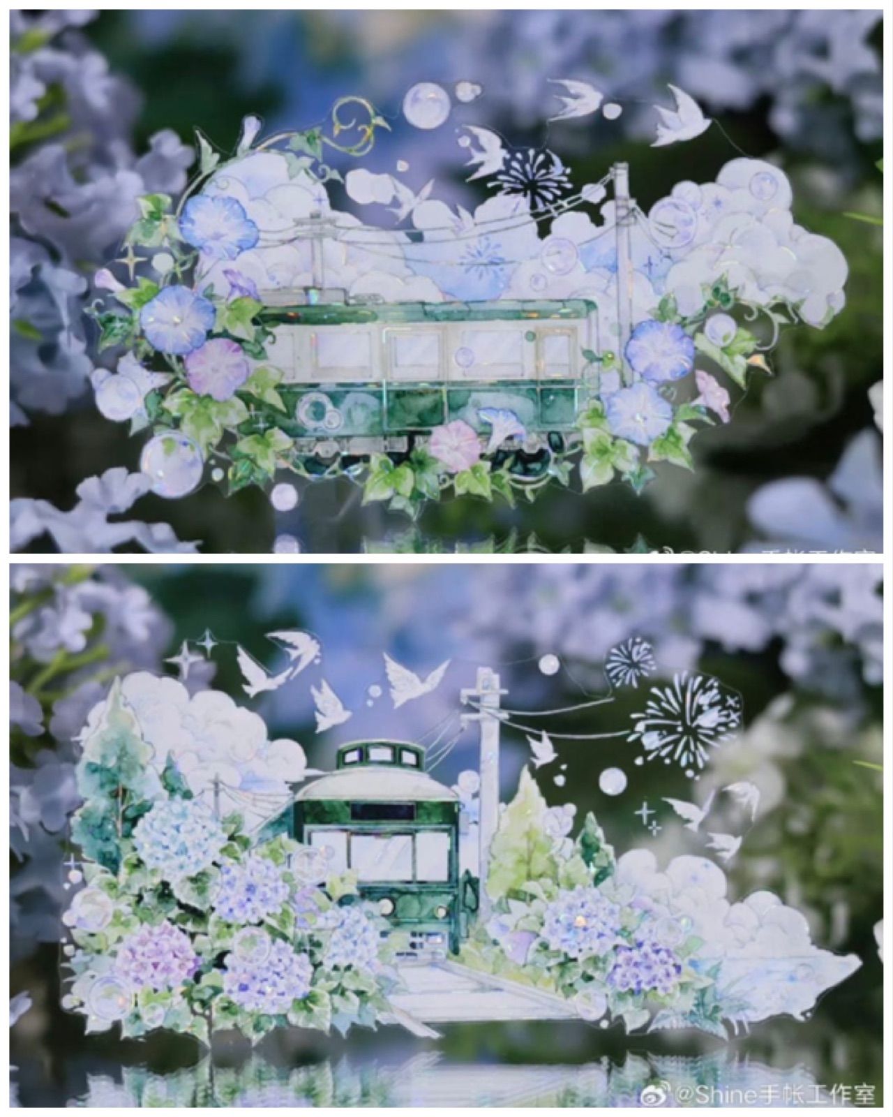 贝壳光 7cm×10m 夏日风物诗 海外マスキングテープ 海外マステ 朝顔