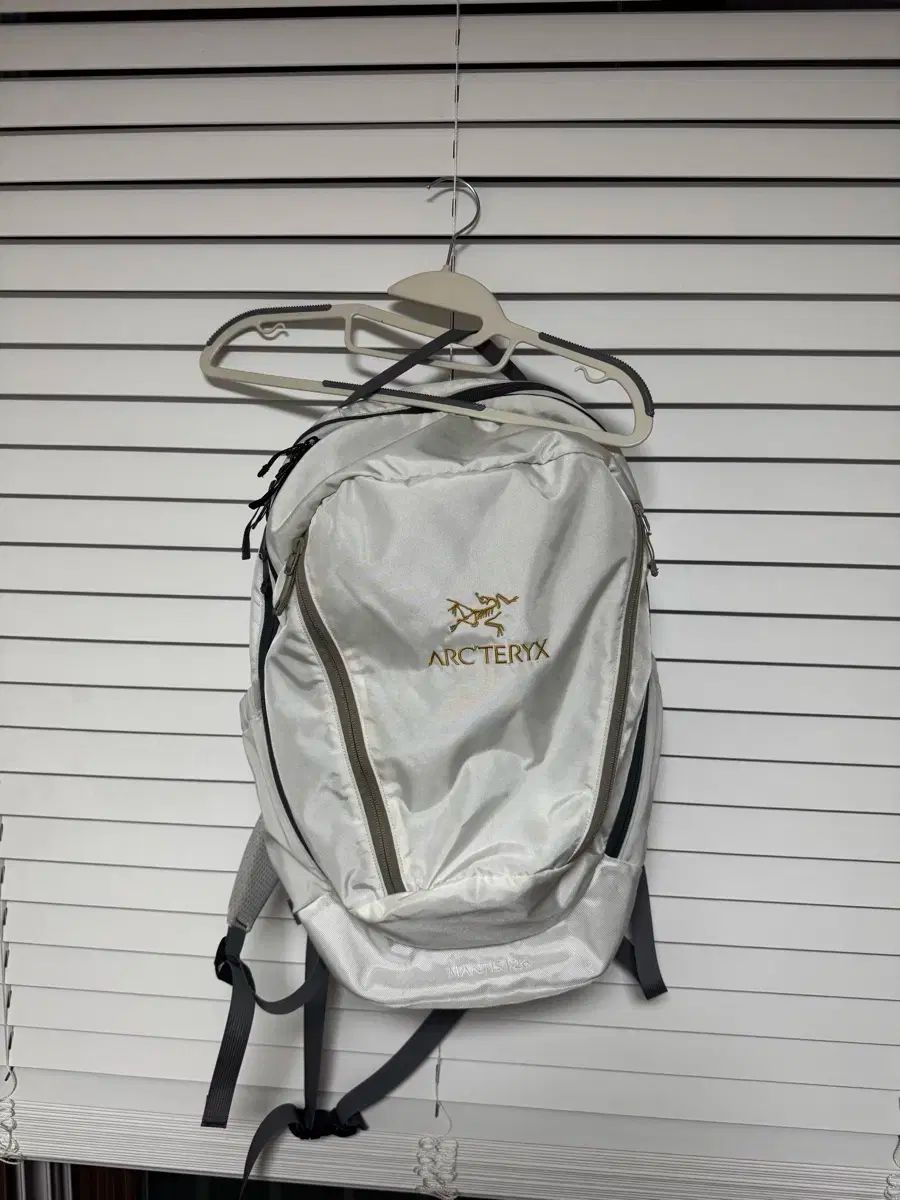 ARC TERYX ビームス コラボ バックパック