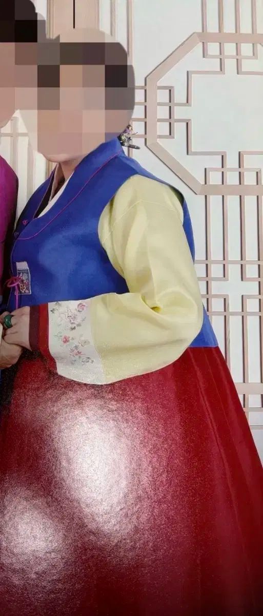 レディース 成人 ハン HAN チマチョゴリ セット