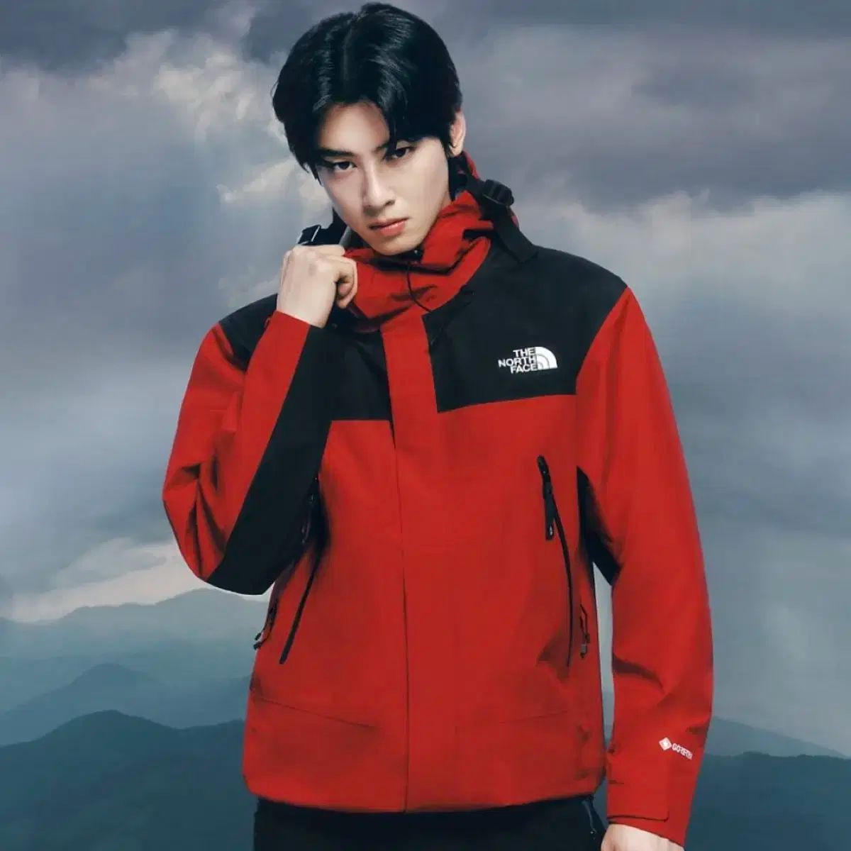 THE NORTH FACE エコー GORE-TEX マウンテン ジャケット 3L レッド 2XL