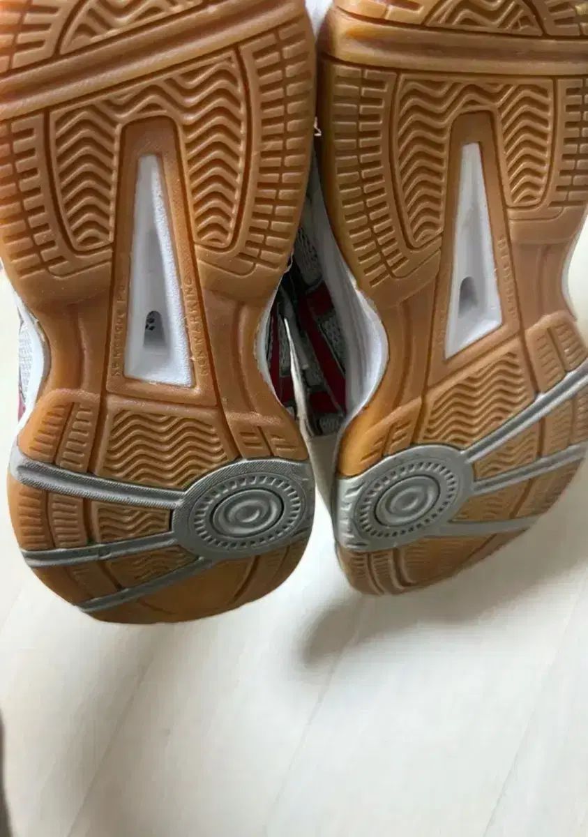 アシックス ローテ LEBREL 250