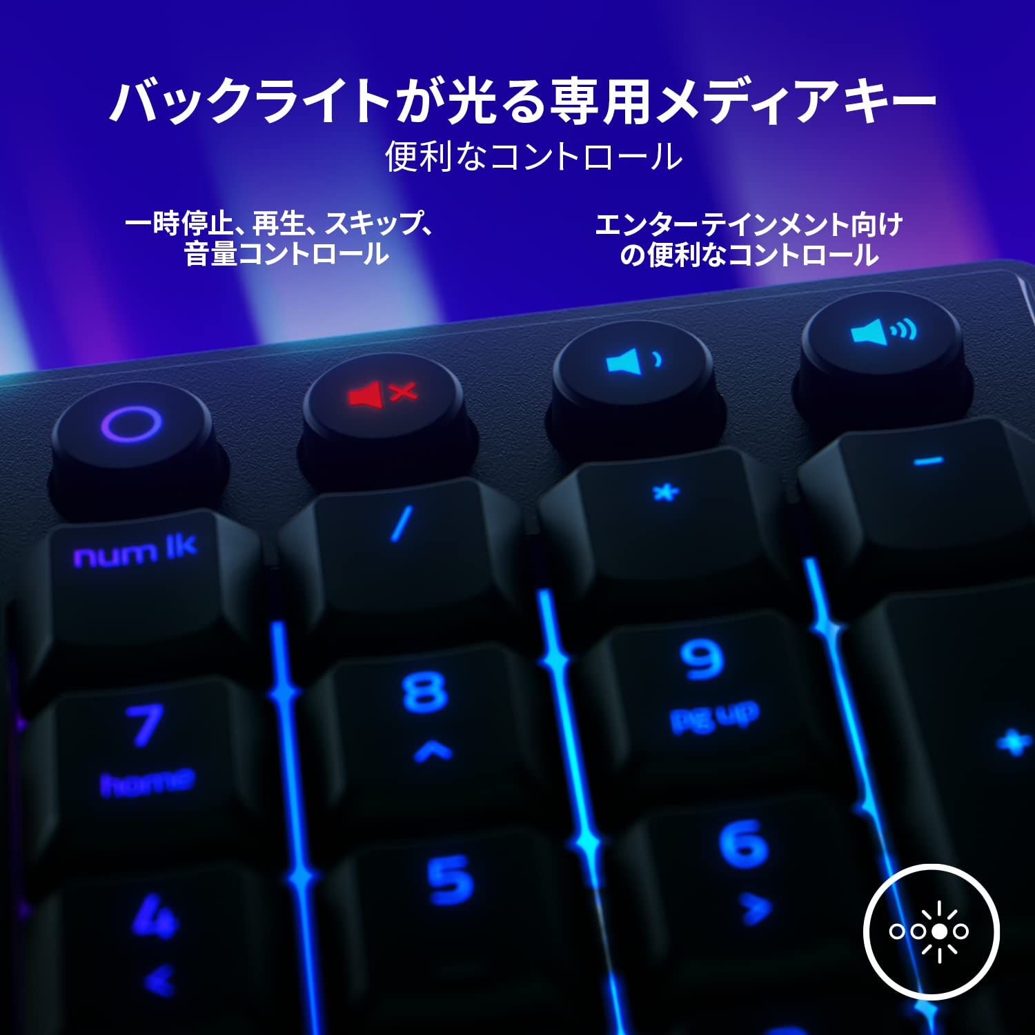 レイザー Ornata