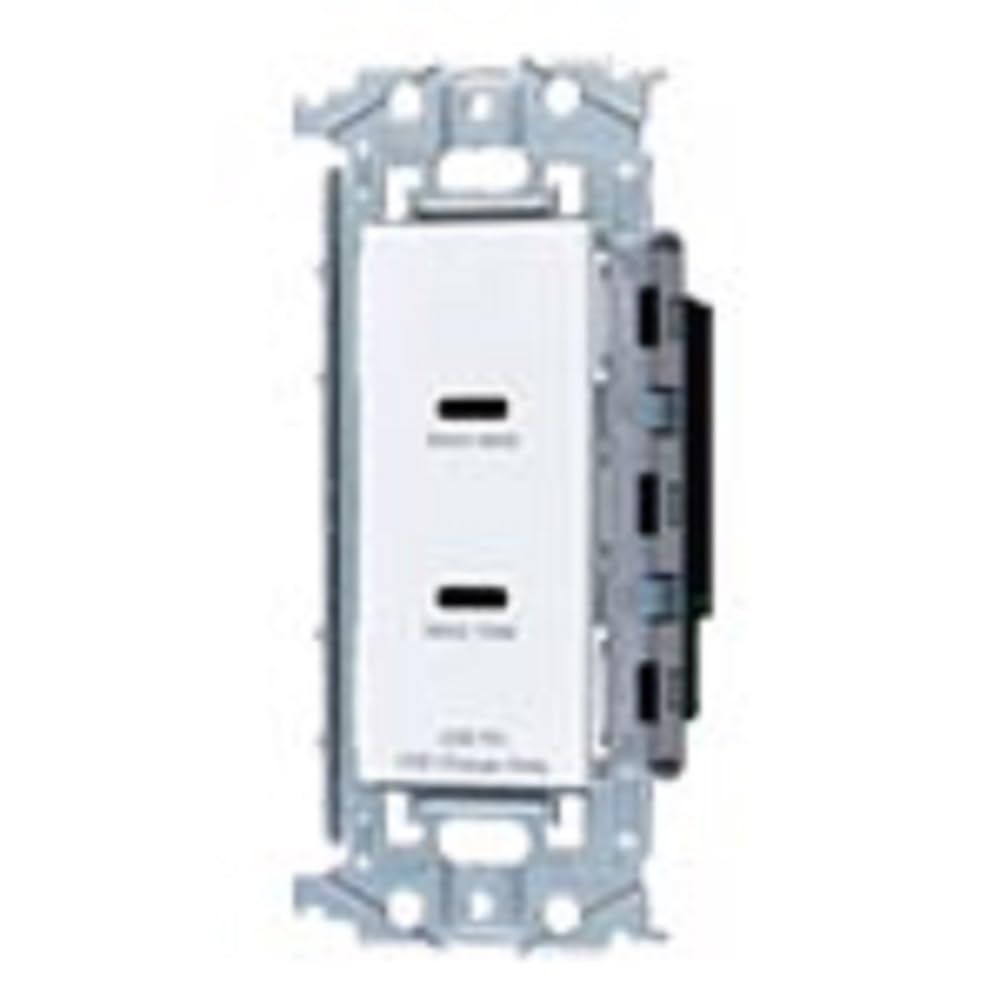 パナソニック Panasonic 埋込充電用USBコンセント アドバンスシリーズ 金属枠付 USB-C 60W 2ポート セラミックホワイト 幅48.4×奥行44×高さ110mm WTL1488W