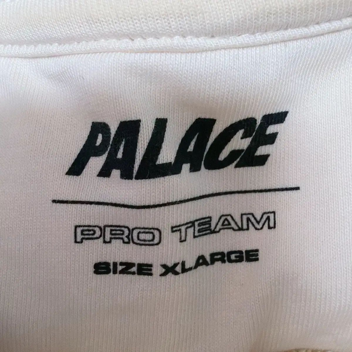パレス スター スクリプト クルーネック ソフト 白 24ss XL