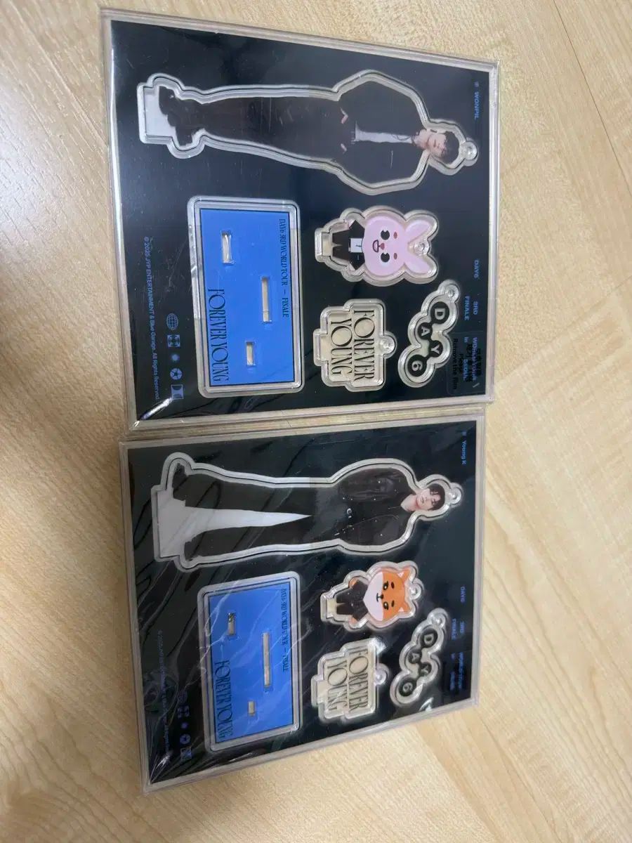 DAY6（デイシックス） FOREVER ONE アクリルスタンド ウォンピル