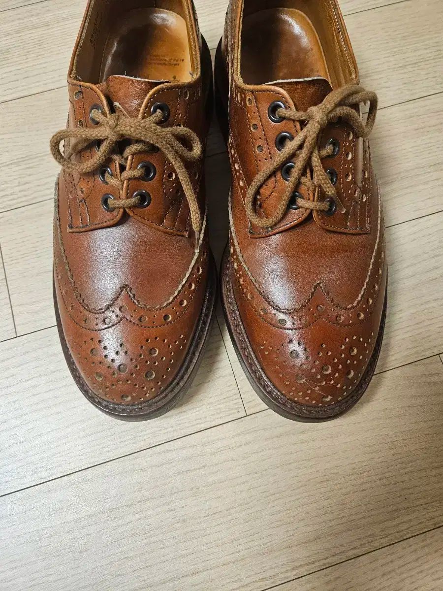 ツリーカーズ あんさんぶるスターズ あんスタ 丸のまま UK 6 5 255 260