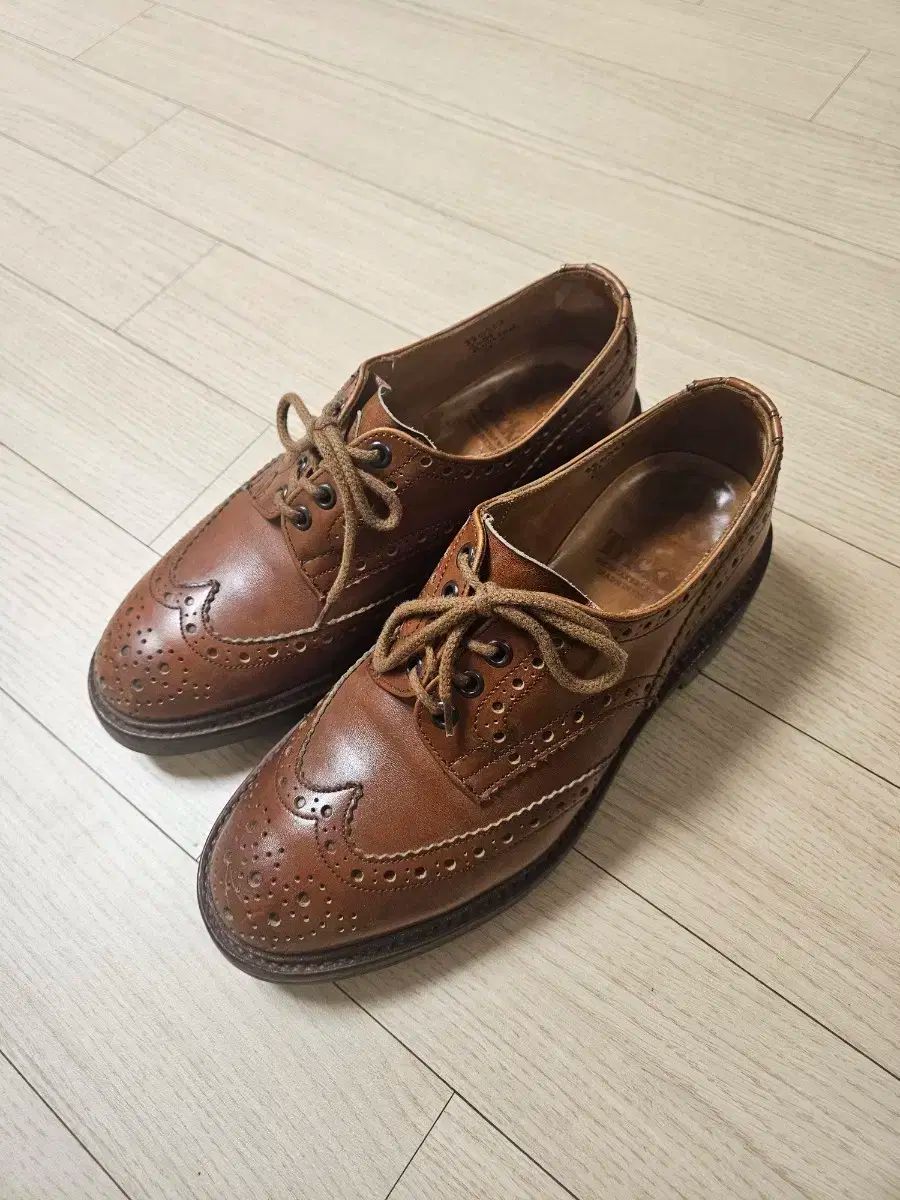 ツリーカーズ あんさんぶるスターズ あんスタ 丸のまま UK6 5 255 260