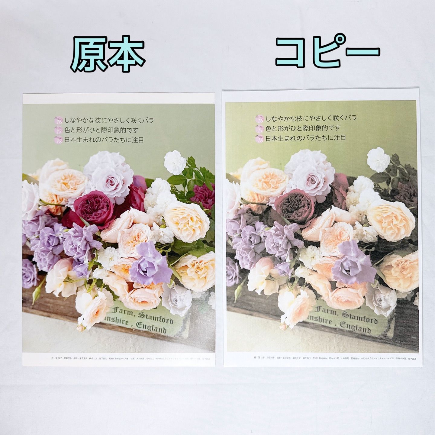 brother ブラザー