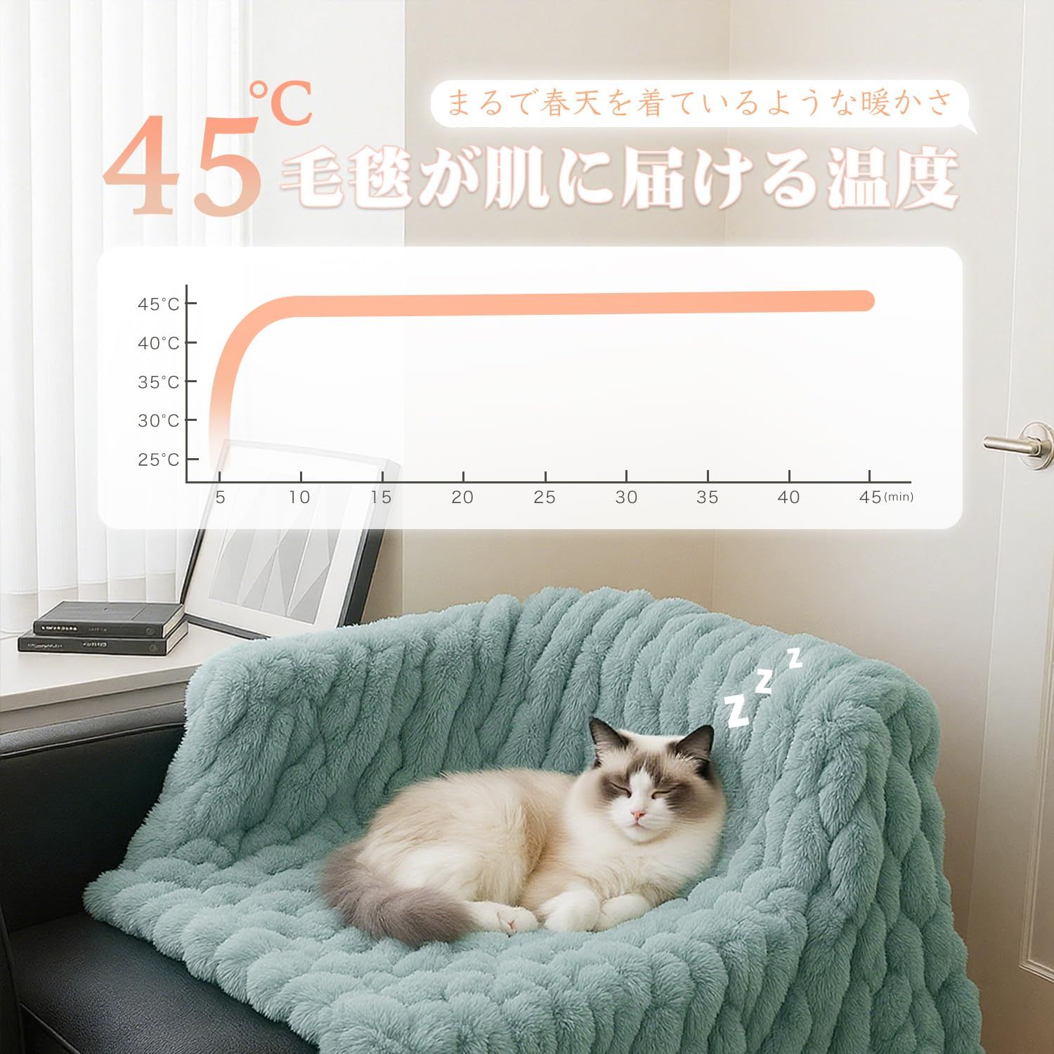 PSE認証済 ダニ退治