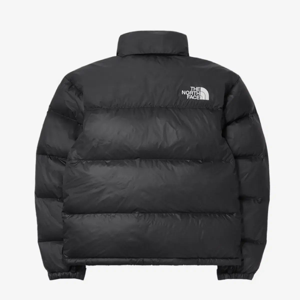 ノースフェイス ダウン 1996 エコー ヌプシ ジャケット ブラック Mサイズ