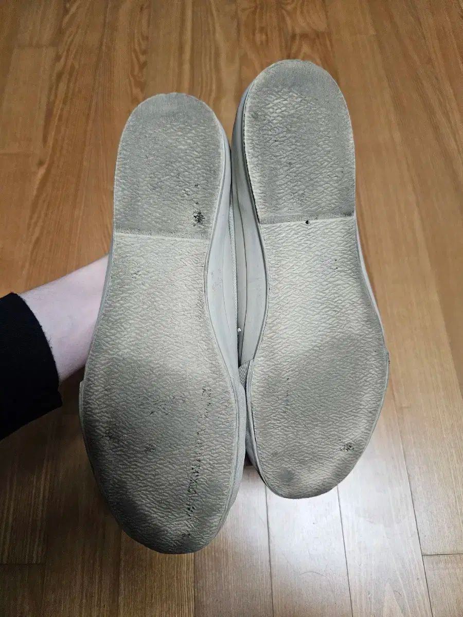 ムーンスター x スタジオ ニコルソン ドーブ 270