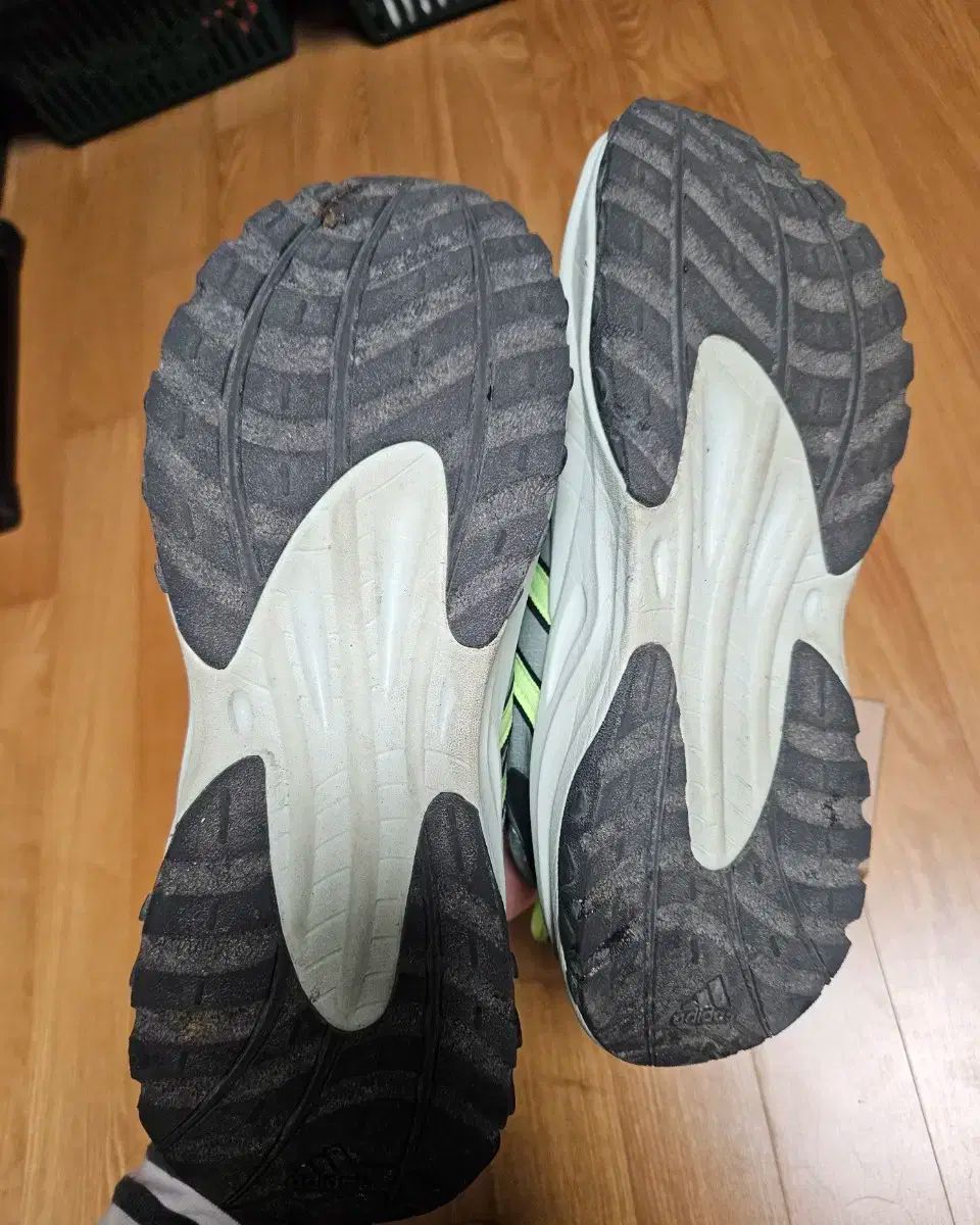 ブラックグリーン 270