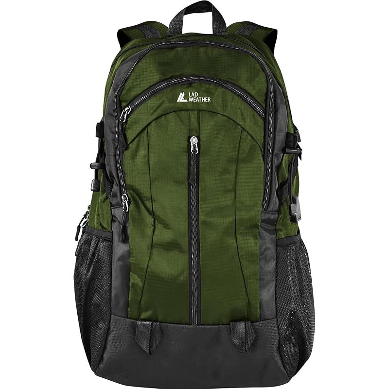 作品集 大藪雅考 イサムノグチ 河鍋暁斎