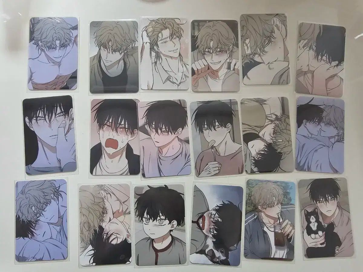 水辺の夜 Ver 2 トレカ 全メンバー 1セット