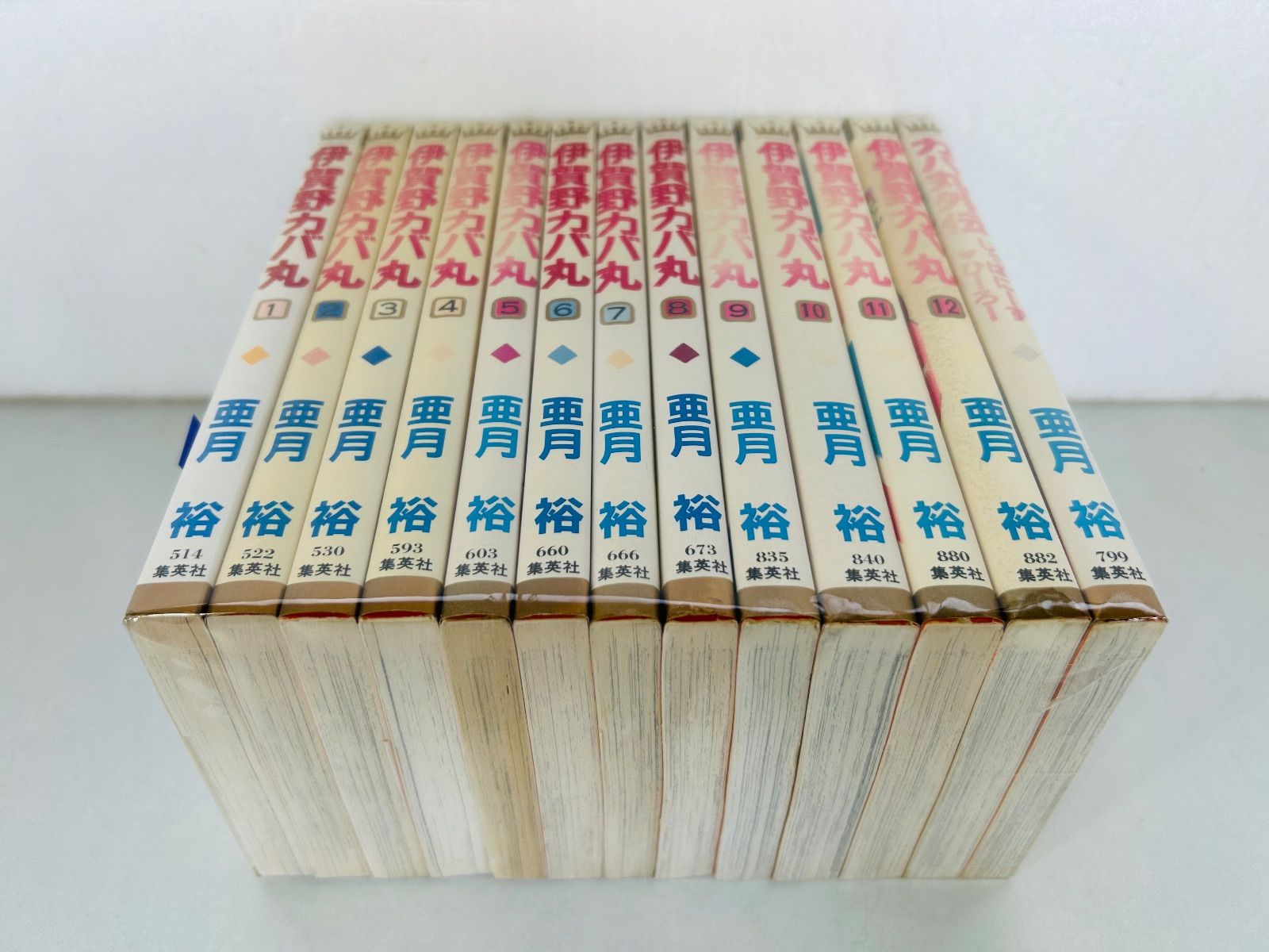 漫画コミック【伊賀野カバ丸1-12巻＋外伝・全巻完結セット】亜月裕