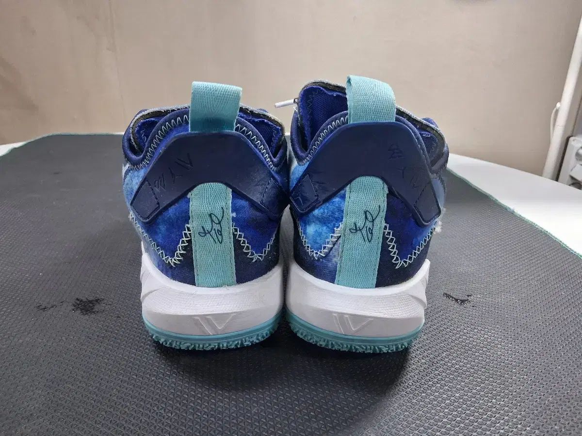  ジョーダン ワイナット ゼロ 4 トラスト アンド ロイヤルティ 250 シューズ(男性用) バスケットボール