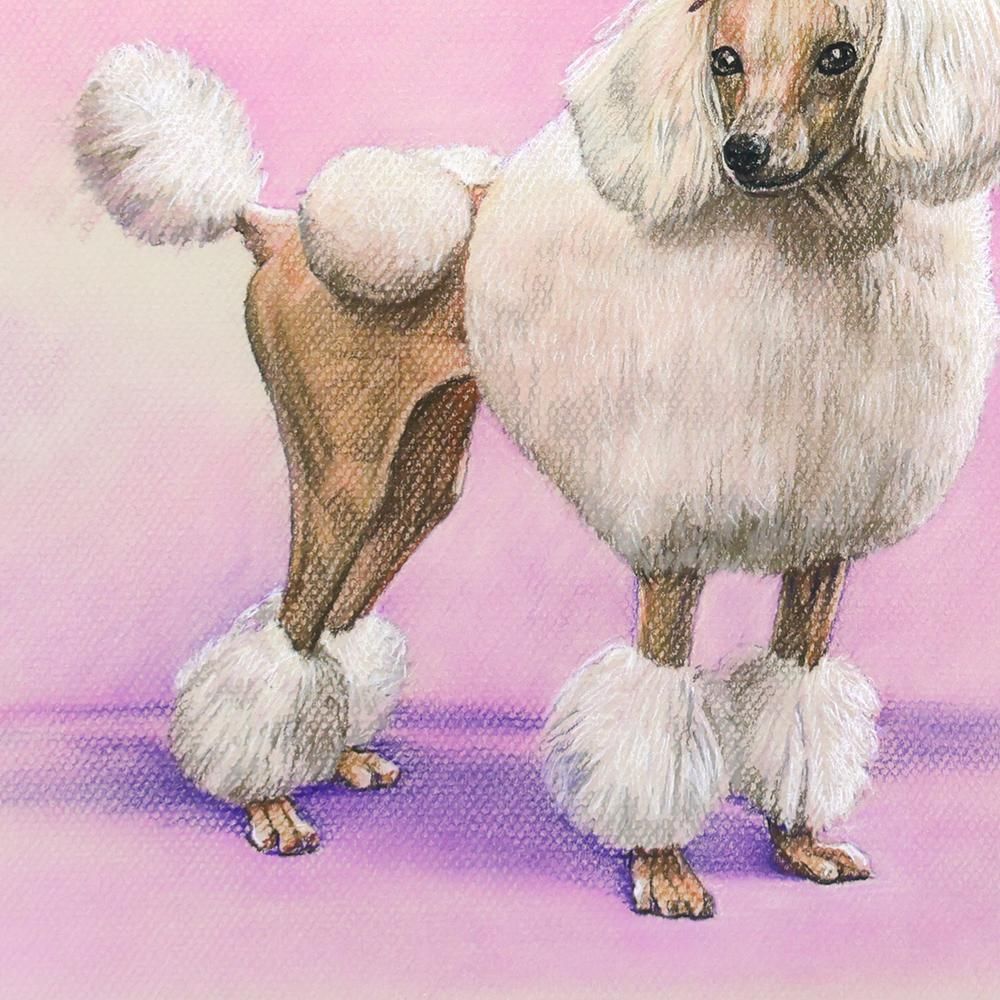 真作】【WISH】岩戸三郎「A ribbon Toy Poodle」パステル 約6号 リボン