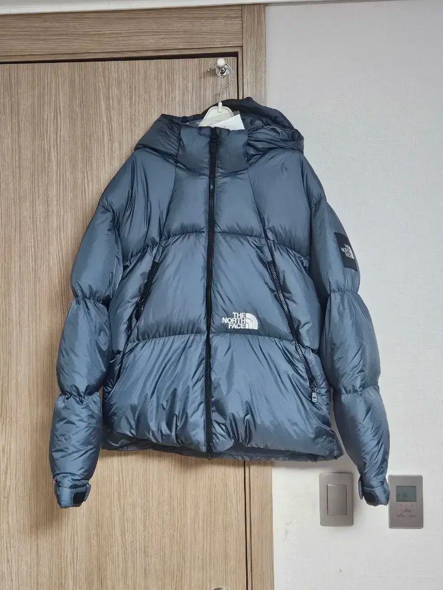 ザノースフェイス プロジェクト ヴェンタス ダウン M