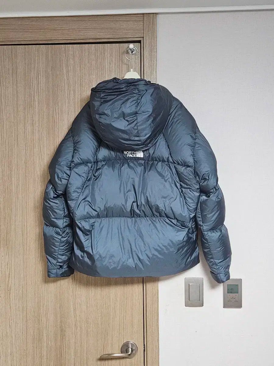 ザノースフェイス プロジェクト ヴェンタス ダウン M