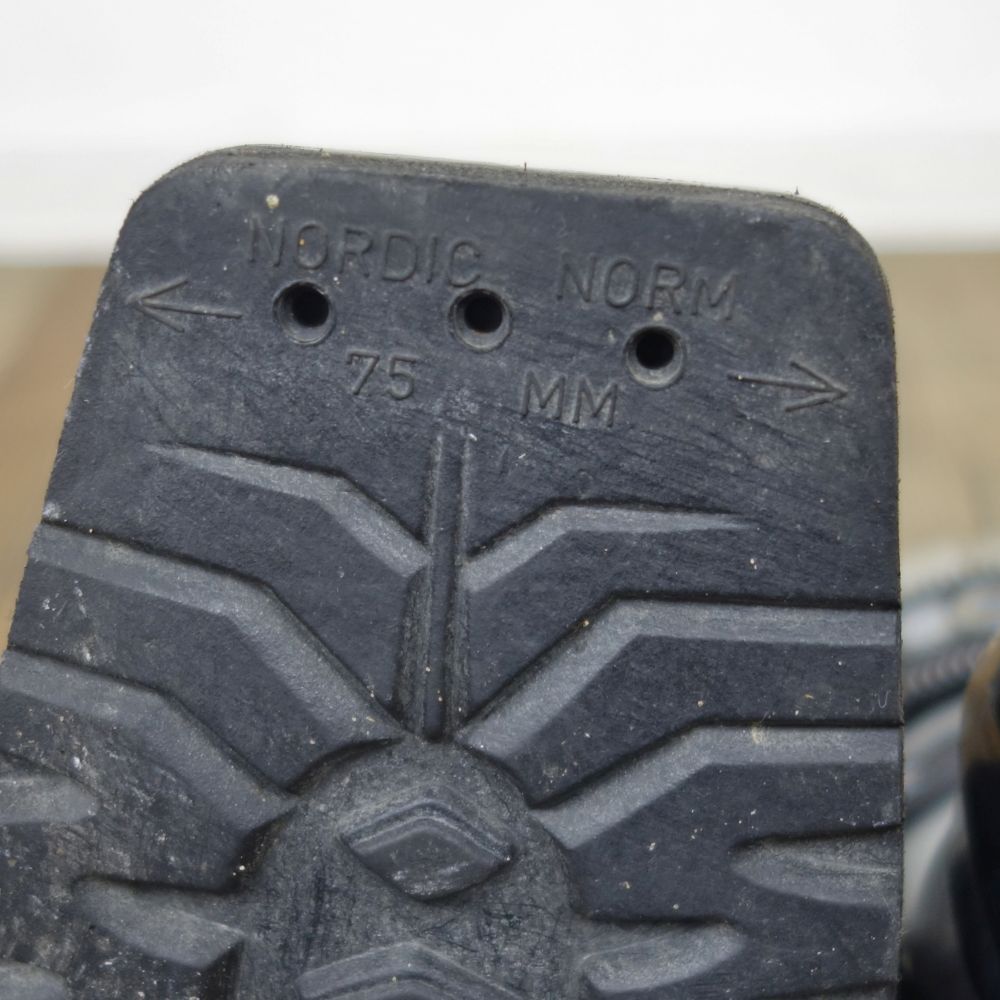 テレマーク スキー